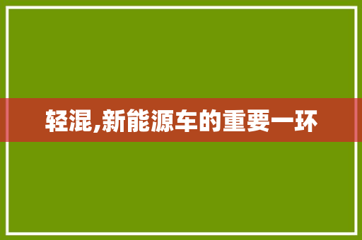 轻混,新能源车的重要一环