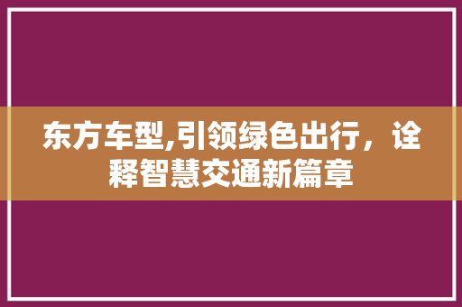 东方车型,引领绿色出行，诠释智慧交通新篇章