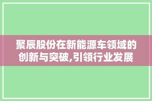 聚辰股份在新能源车领域的创新与突破,引领行业发展的新力量