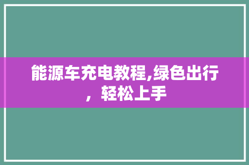 能源车充电教程,绿色出行，轻松上手