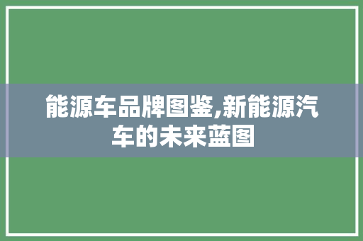 能源车品牌图鉴,新能源汽车的未来蓝图