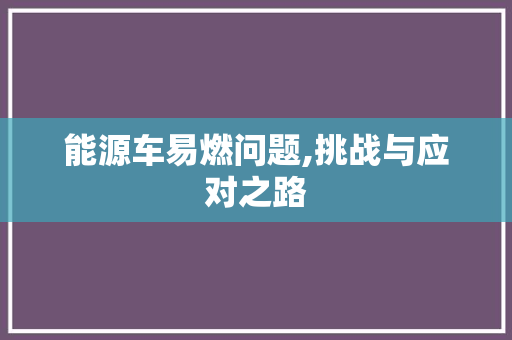 能源车易燃问题,挑战与应对之路