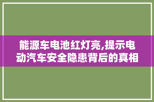 能源车电池红灯亮,提示电动汽车安全隐患背后的真相
