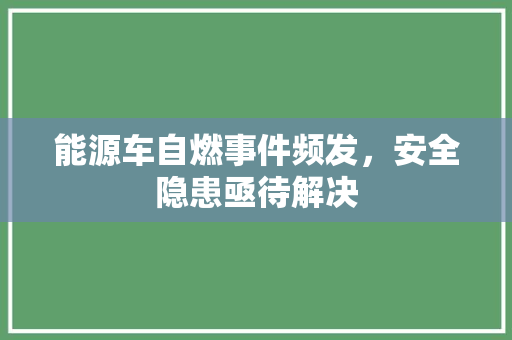 能源车自燃事件频发，安全隐患亟待解决