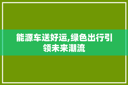 能源车送好运,绿色出行引领未来潮流