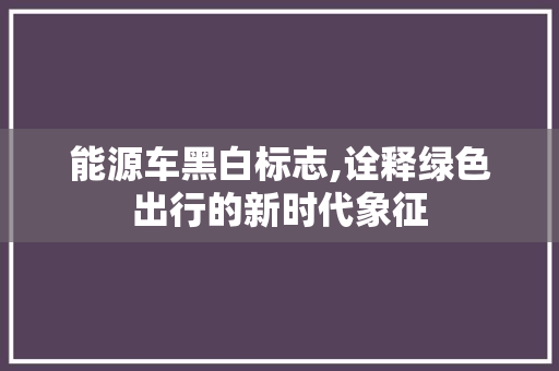 能源车黑白标志,诠释绿色出行的新时代象征