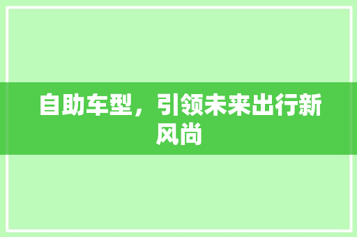自助车型，引领未来出行新风尚