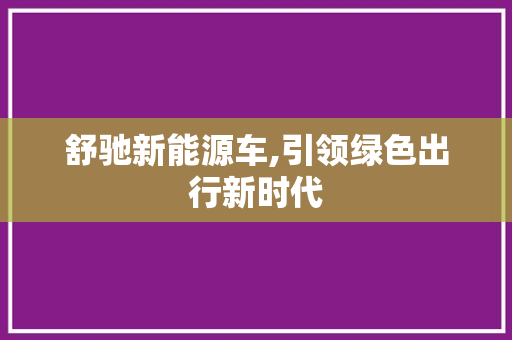舒驰新能源车,引领绿色出行新时代
