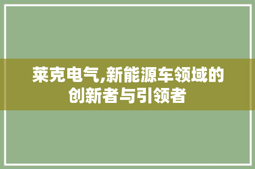 莱克电气,新能源车领域的创新者与引领者