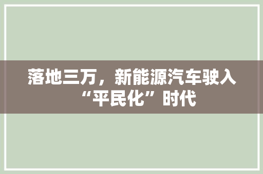 落地三万，新能源汽车驶入“平民化”时代