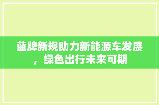蓝牌新规助力新能源车发展，绿色出行未来可期