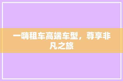 一嗨租车高端车型，尊享非凡之旅