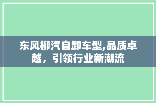 东风柳汽自卸车型,品质卓越，引领行业新潮流