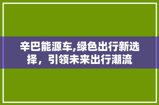 辛巴能源车,绿色出行新选择，引领未来出行潮流