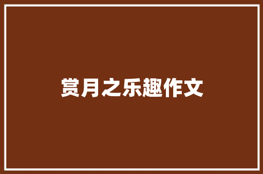达夫最贵车型分析,豪华轿跑的极致演绎