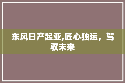 东风日产起亚,匠心独运，驾驭未来