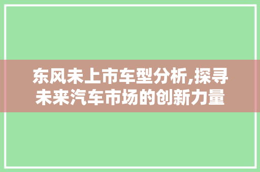 东风未上市车型分析,探寻未来汽车市场的创新力量