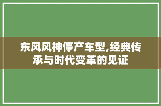 东风风神停产车型,经典传承与时代变革的见证