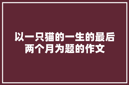 万性价比新能源车,绿色出行新潮流