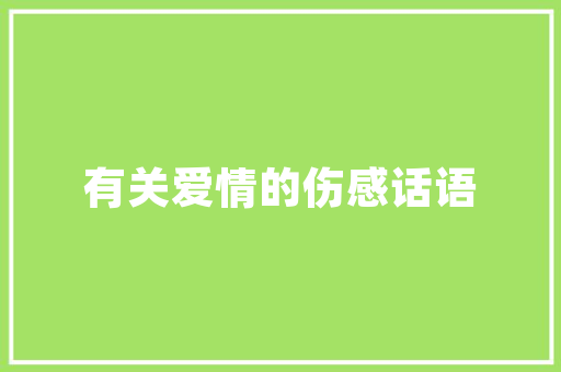 上海新能源车赠与亲戚车牌，见证绿色出行的时代变迁