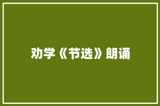中通新能源公交车助力赤峰绿色出行，共创美好未来