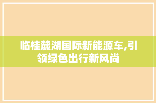 临桂麓湖国际新能源车,引领绿色出行新风尚