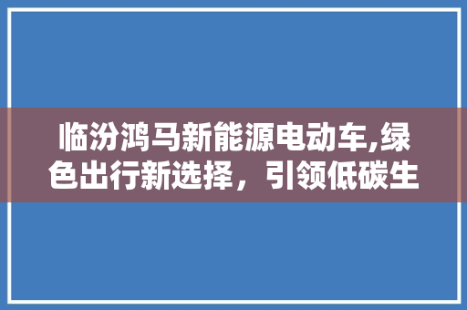 临汾鸿马新能源电动车,绿色出行新选择，引领低碳生活新潮流