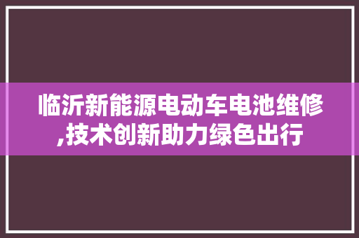 临沂新能源电动车电池维修,技术创新助力绿色出行