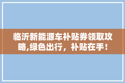 临沂新能源车补贴券领取攻略,绿色出行，补贴在手！