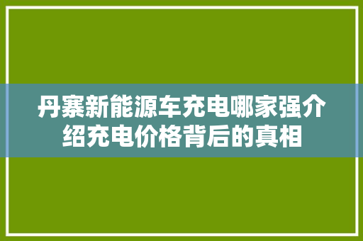 丹寨新能源车充电哪家强介绍充电价格背后的真相