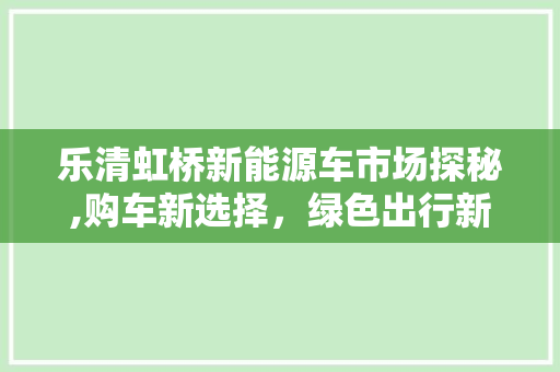 乐清虹桥新能源车市场探秘,购车新选择，绿色出行新风尚