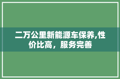 二万公里新能源车保养,性价比高，服务完善