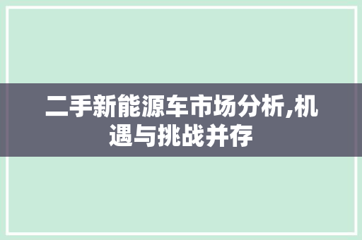 二手新能源车市场分析,机遇与挑战并存