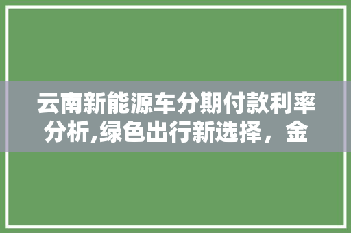 云南新能源车分期付款利率分析,绿色出行新选择，金融助力共筑环保未来