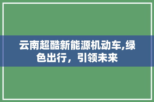 云南超酷新能源机动车,绿色出行，引领未来