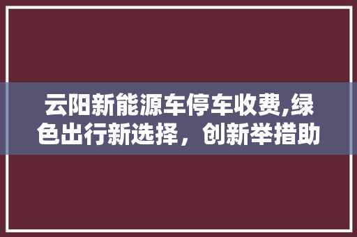 云阳新能源车停车收费,绿色出行新选择，创新举措助力环保发展