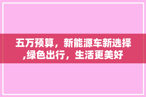 五万预算，新能源车新选择,绿色出行，生活更美好