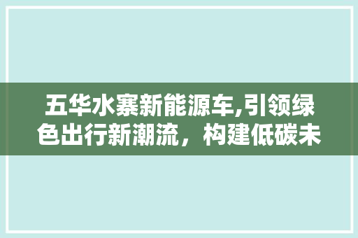 五华水寨新能源车,引领绿色出行新潮流，构建低碳未来生活