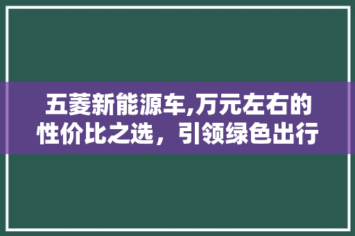 五菱新能源车,万元左右的性价比之选，引领绿色出行新风尚