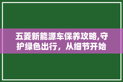 五菱新能源车保养攻略,守护绿色出行，从细节开始