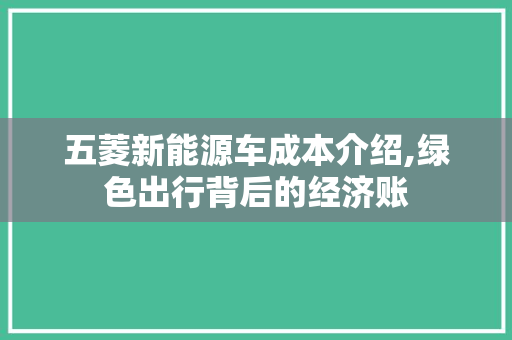 五菱新能源车成本介绍,绿色出行背后的经济账