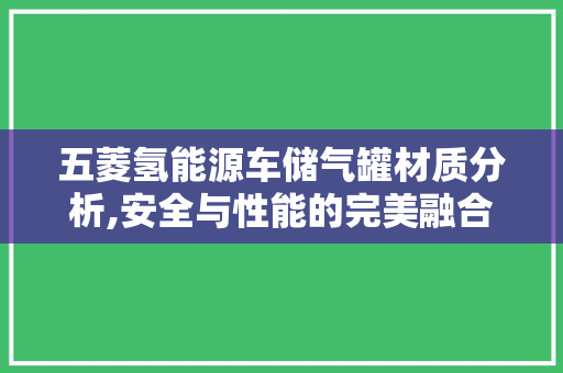 五菱氢能源车储气罐材质分析,安全与性能的完美融合