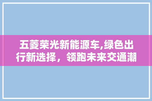 五菱荣光新能源车,绿色出行新选择，领跑未来交通潮流