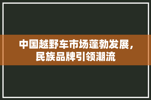 中国越野车市场蓬勃发展，民族品牌引领潮流