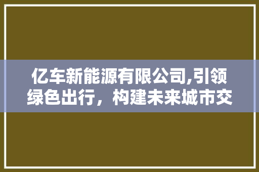 亿车新能源有限公司,引领绿色出行，构建未来城市交通新格局