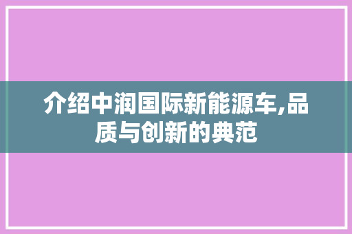 介绍中润国际新能源车,品质与创新的典范