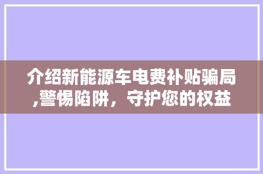 介绍新能源车电费补贴骗局,警惕陷阱，守护您的权益