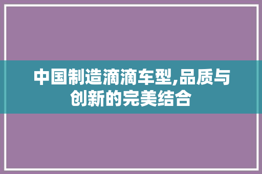 中国制造滴滴车型,品质与创新的完美结合