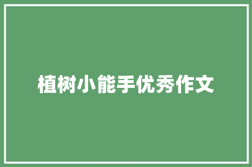 中国新能源车企高层人才的崛起与引领未来
