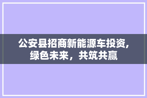 公安县招商新能源车投资,绿色未来，共筑共赢